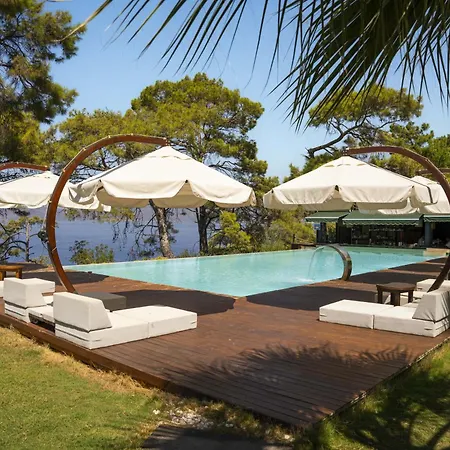 Lov Adults Only Faralya