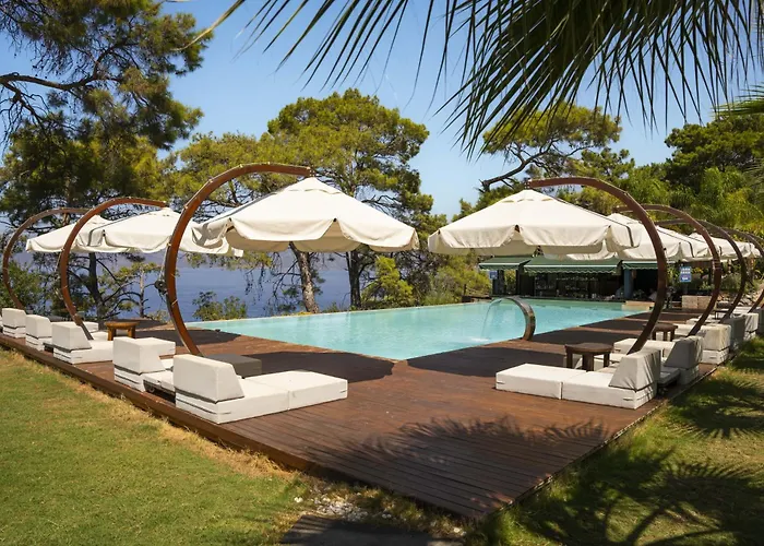 Lov Adults Only ファラリア