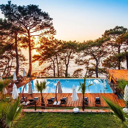 Lov Beach&nature Retreat 3* Faralya