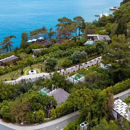 Lov Adults Only 3* 파랄리아