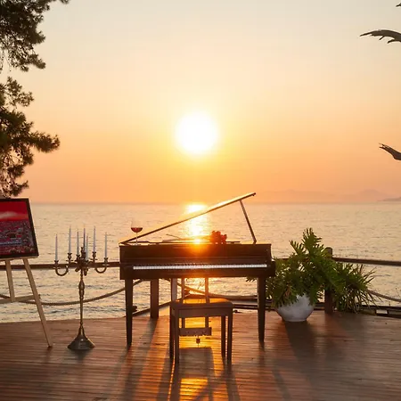 Lov Adults Only ファラリア